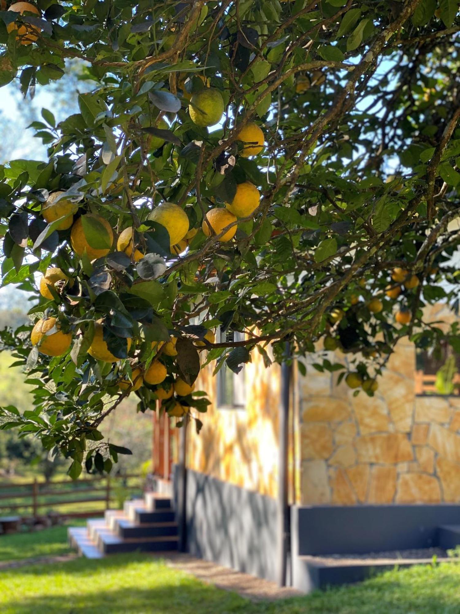 Casa De Campo Fichtelberger Hohenau 外观 照片